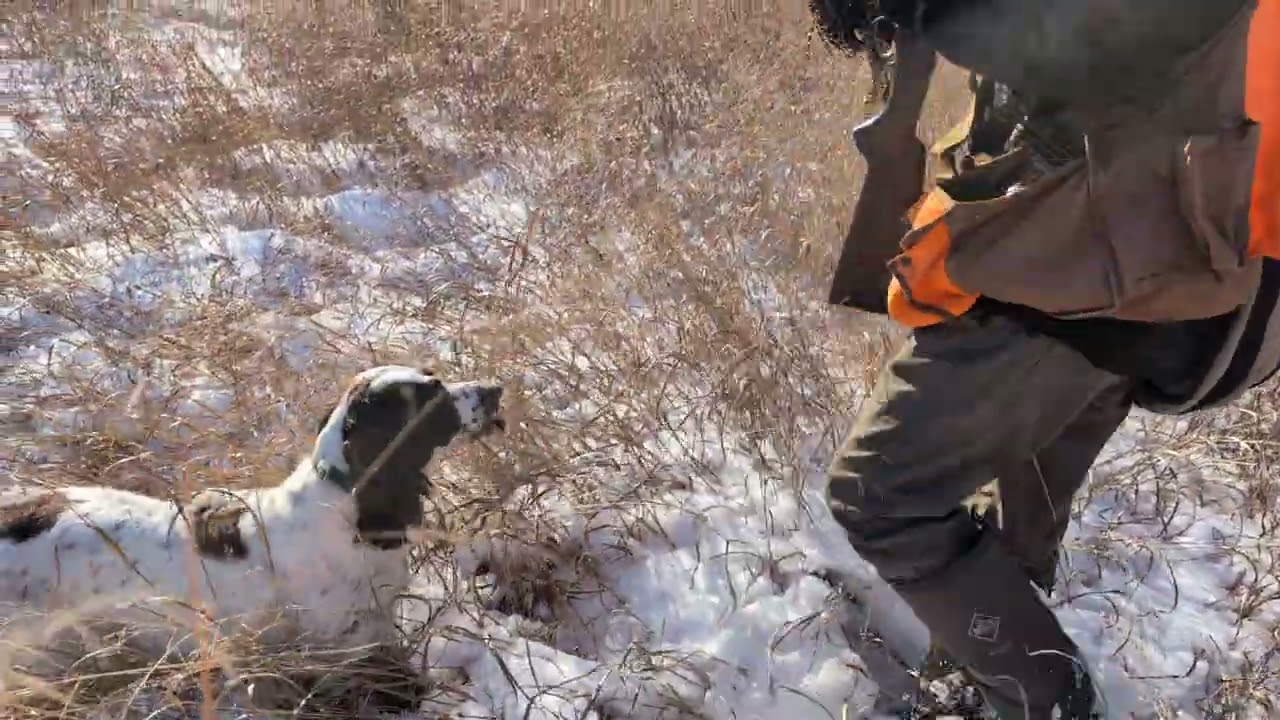 Bluff Winter hunt 