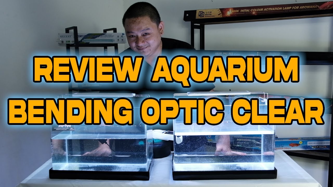 WOW AQUARIUM BISA TEMBUS PANDANG ! FULL REVIEW AQUARIUM BENDING RECENT DAN OPTIC CLEAR