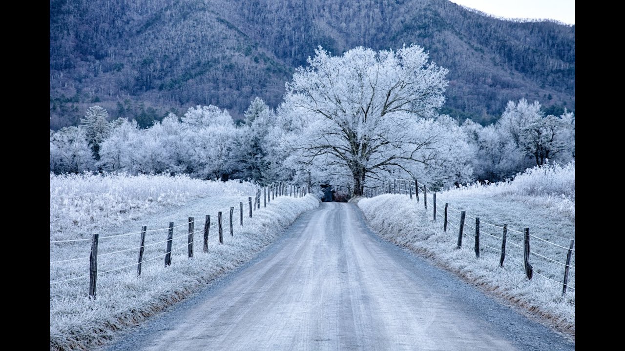 Happy Holidays from the Department of the Interior!