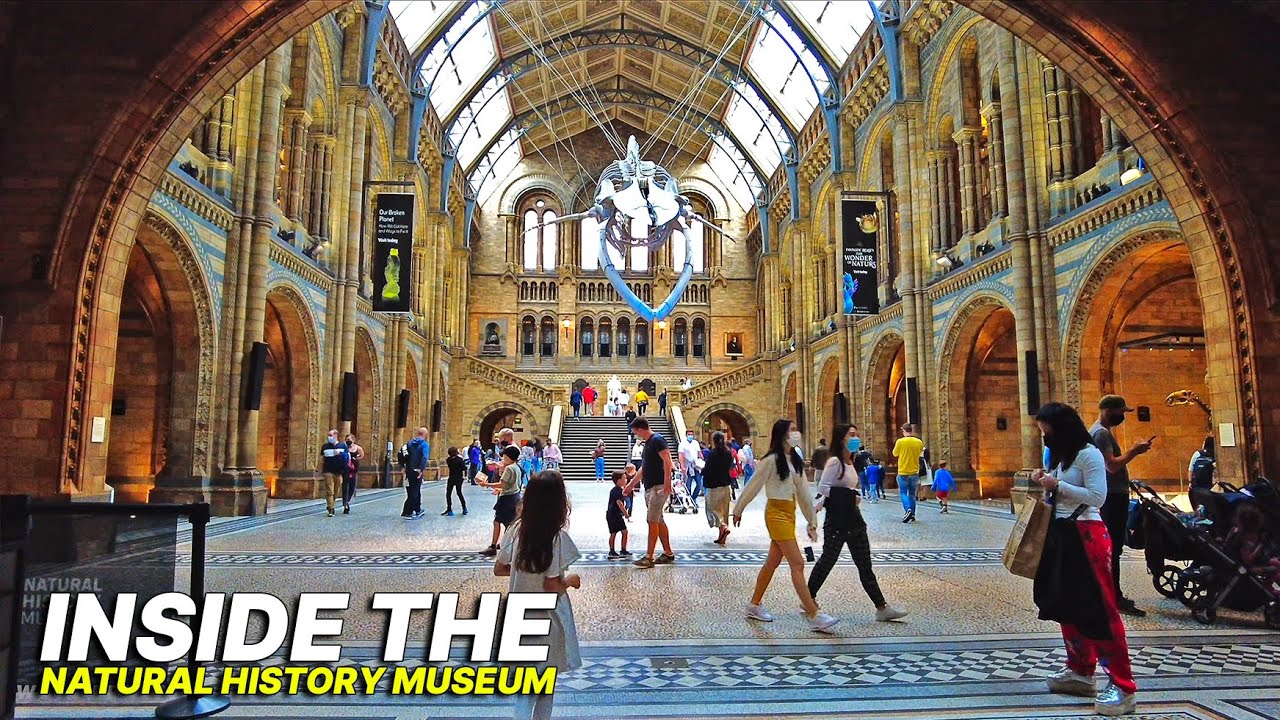 Museum Tour 🇬🇧 - INSIDE the Natural History Museum London 🏛 Uncover the history of life on Earth 🌍🌱