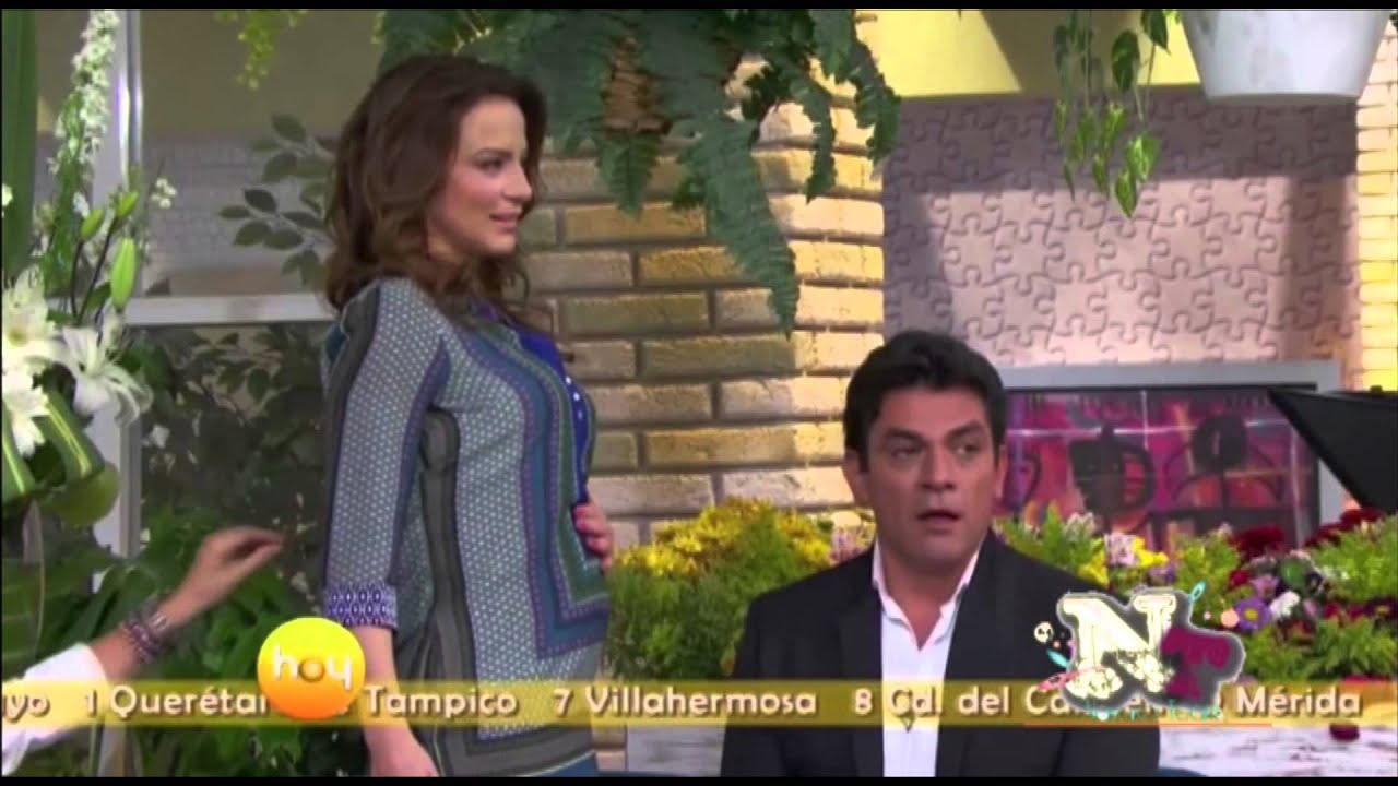 SILVIA NAVARRO EMBARAZADA