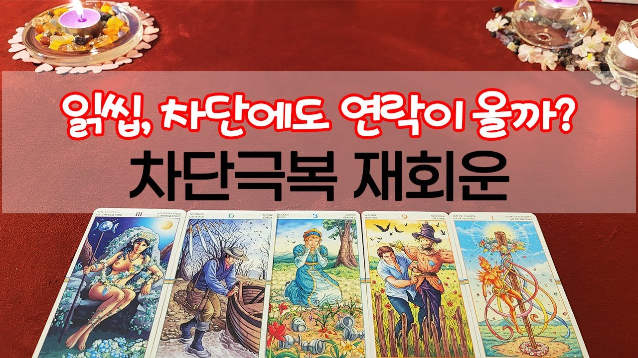 [타로] 차단극복 재회운! 읽씹, 차단에도 우리가 재회할 수 있을까요? 계속되는 인연인지, 아닌지 살펴 보기로 해요!