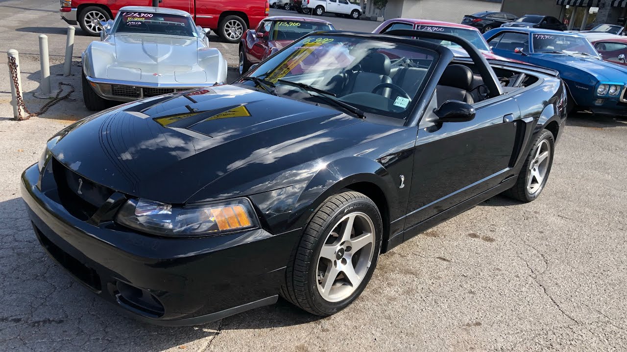 Test Drive 2003 Mustang Cobra Terminator SOLD $16,900 Maple Motors #835