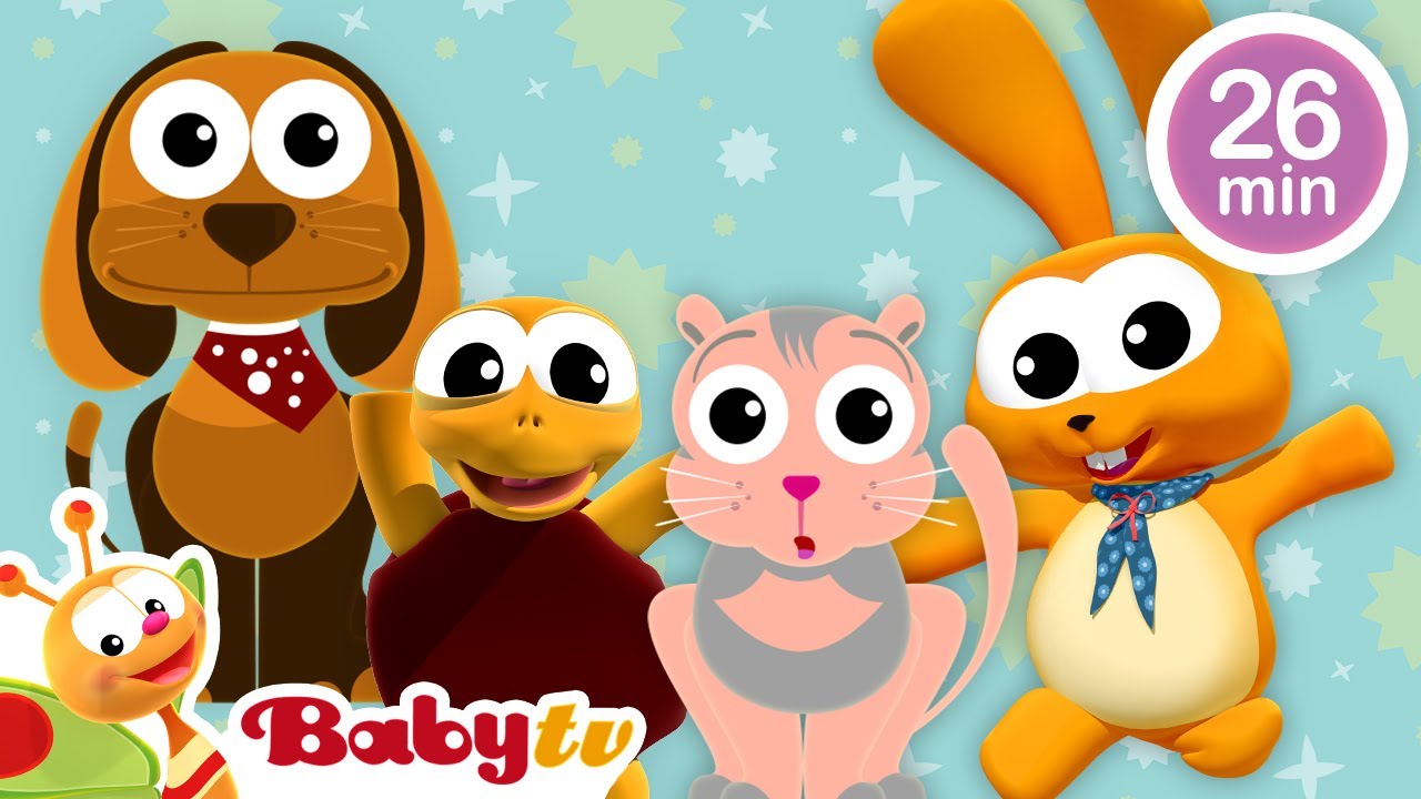 Rabbits, Puppies, Cats and more 🐰🐶😻 | Fun with Animals | @BabyTV