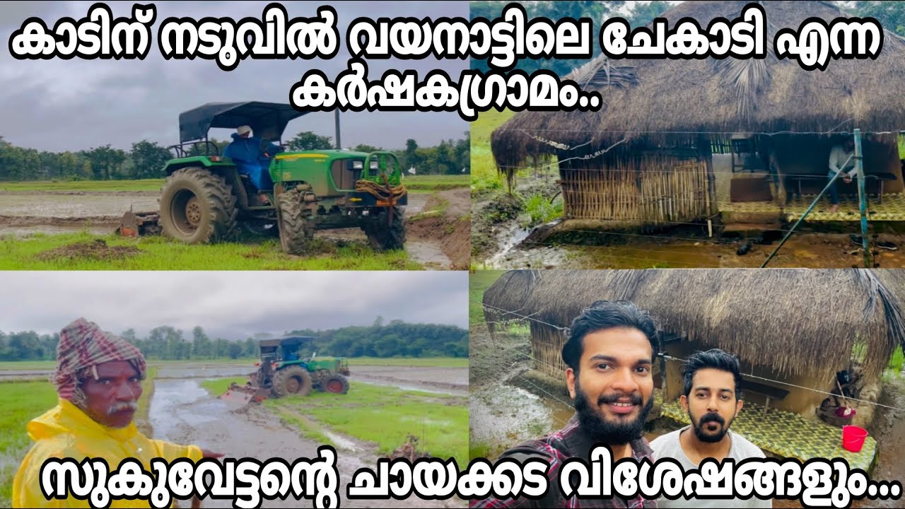 കാടിന് നടുവിൽ വയനാട്ടിലെ ചേകാടി എന്ന കർഷകഗ്രാമം..സുകുവേട്ടന്റെ ചായക്കട വിശേഷങ്ങളും...
