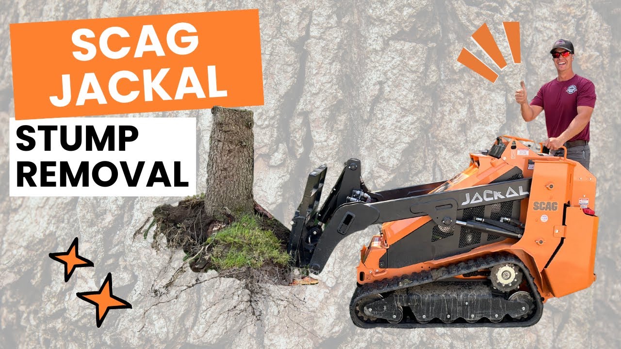 STUMP REMOVAL with Scag Jackal Mini Skid Steer - Using Forks from Toro Dingo
