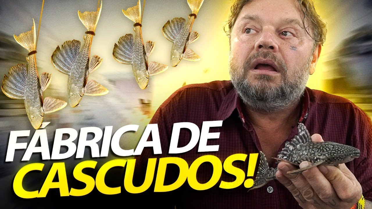 FUI BUSCAR LONGE MEUS CASCUDOS! | A CASA DOS BICHOS