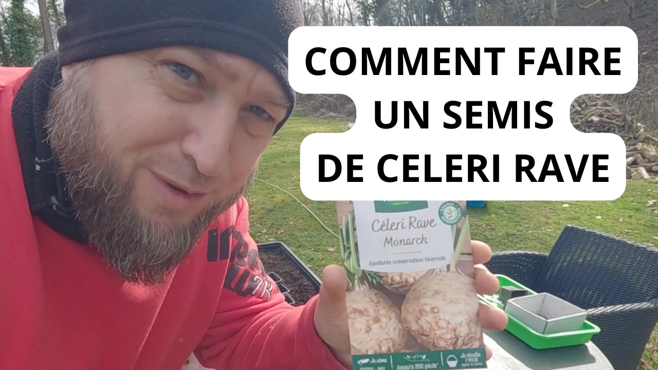 Comment Faire un Semis de Céleri Rave ?