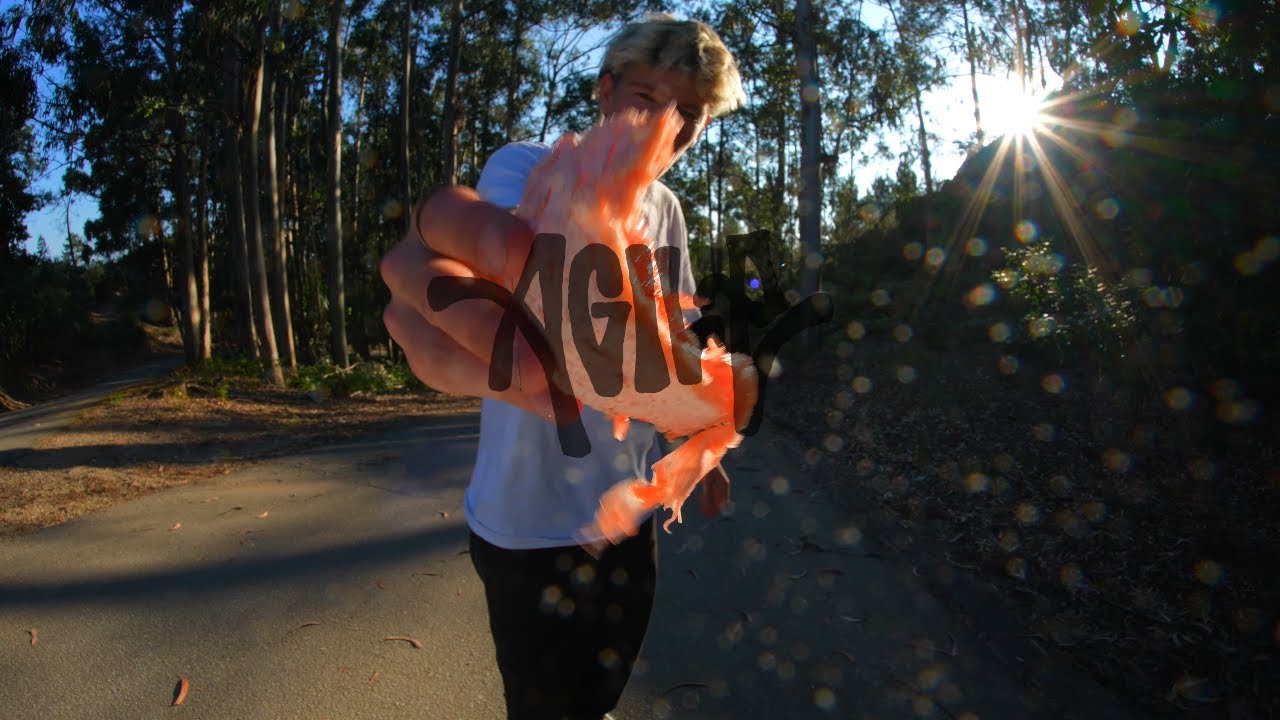 AGILE