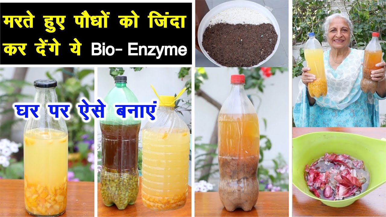 घर पर बनाएं जादुई Bio- Enzymes ! 💪 रसोई के कचरे से सफाई और पौधों के लिए खाद || Unique farming