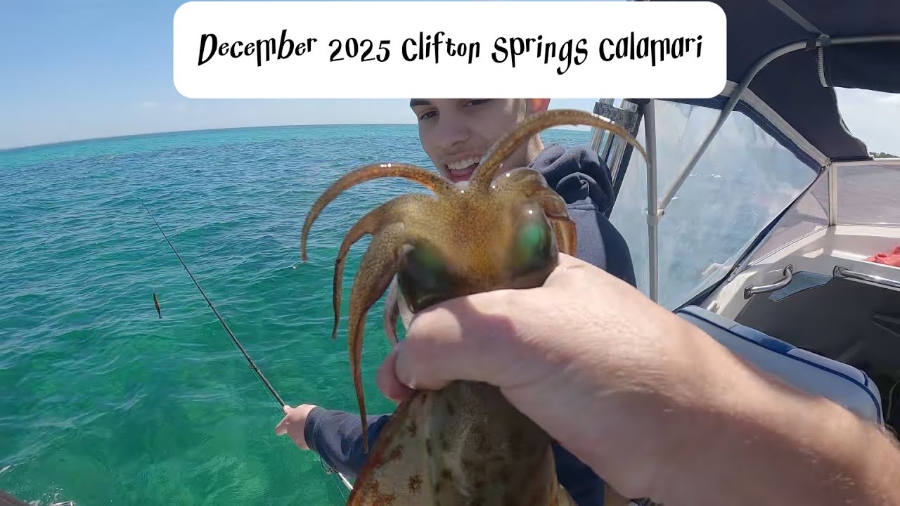 Dec 2025 Clifton Springs Calamari - Clicks Jigs Prospec