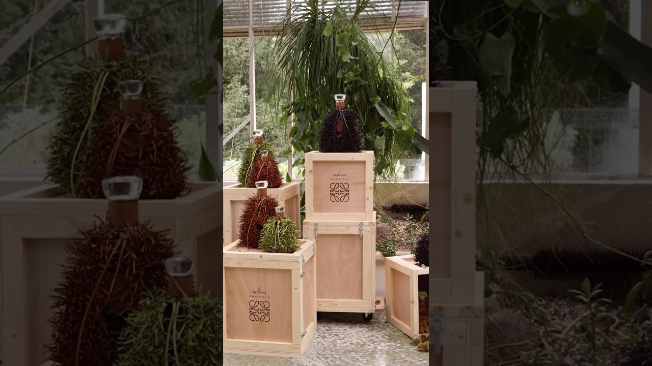 Hennessy Paradis x LOEWE: The Unveiling Pt. 1