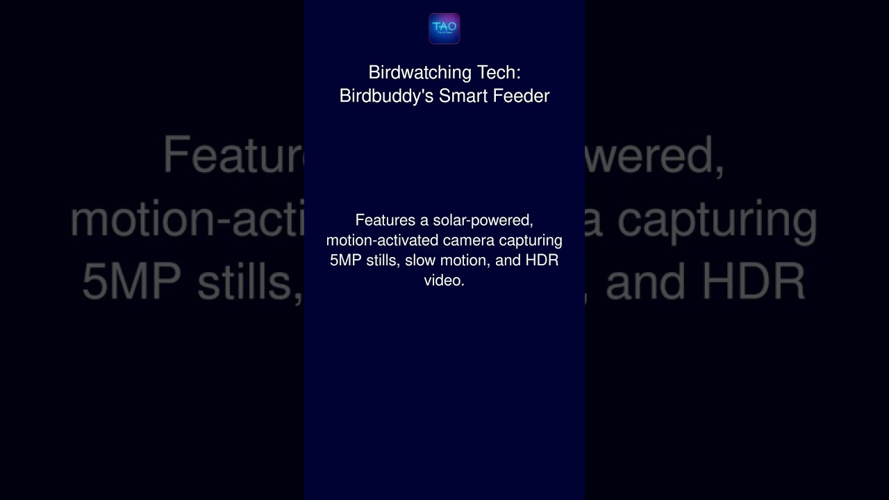 Birdwatching Tech: Birdbuddy's Smart Feeder