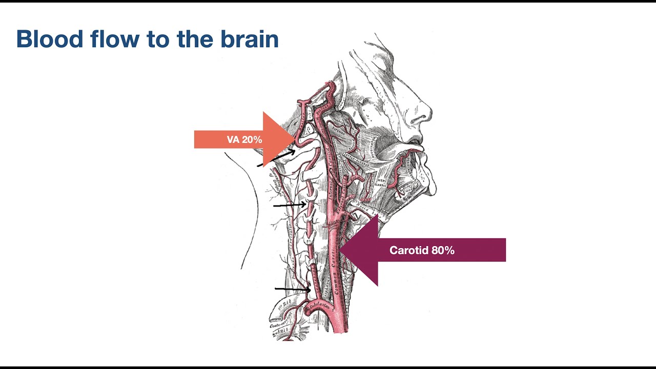 The Vertebral Artery Test Part II: Risk assessment of the cervical spine