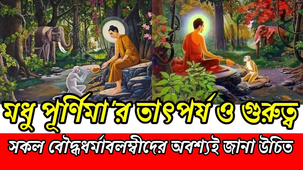 মধু পূর্ণিমা'র তাৎপর্য ও গুরুত্ব || মধু পূর্ণিমা ||Modhu purnima || সকল বৌদ্ধদের অবশ্যই জানা উচিত |