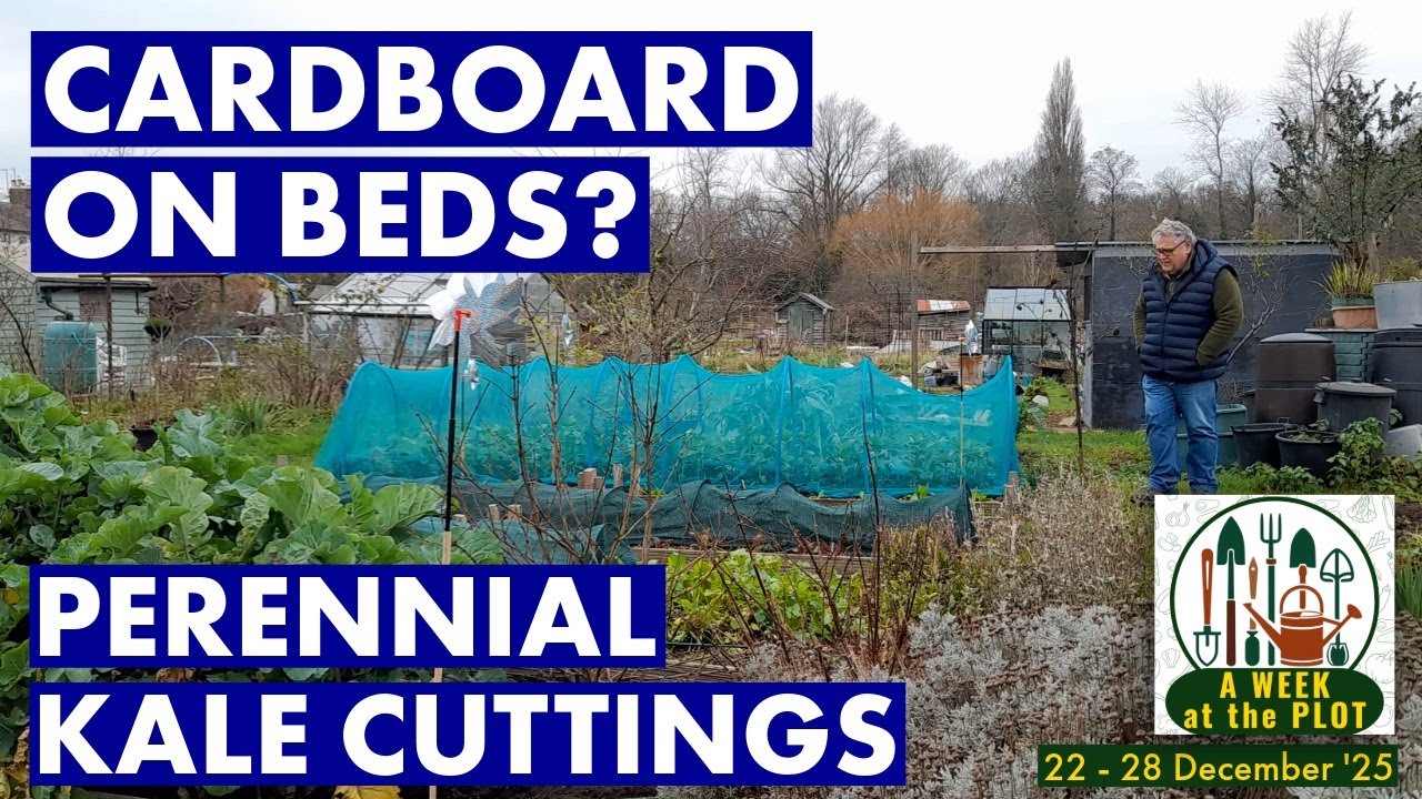Картон на кроватях?... Уборка, Taunton Deane Cuttings & Chat