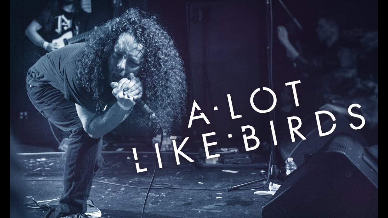 A Lot Like Birds - 