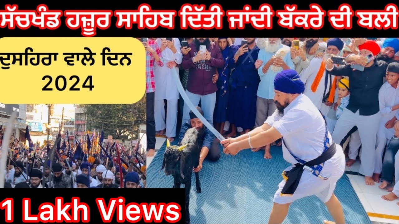 ਸੱਚਖੰਡ ਹਜ਼ੂਰ ਸਾਹਿਬ ਦਿੱਤੀ ਜਾਂਦੀ ਹੈ ਬੱਕਰੇ ( GOAT 🐐) ਦੀ ਬਲੀ !!🙏 Goat 🐐 Histort Hazur Sahib Dussehra 2024