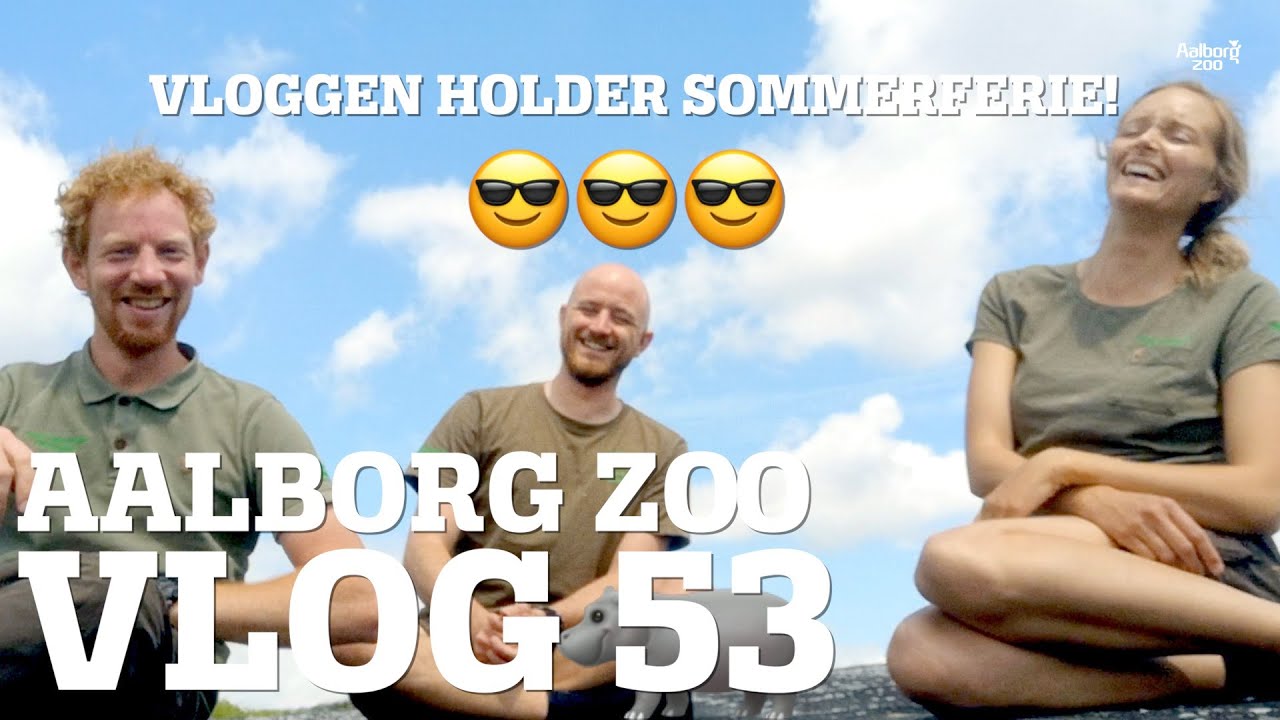 Nye beboere i skoletjenesten | Vortesvin eller Flodhest? | Sommerferie! | Aalborg Zoo VLOG 52