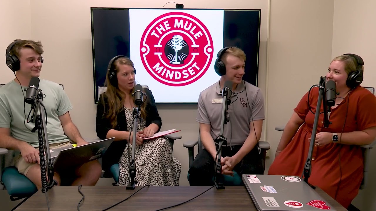 Mule Mindset Podcast- Enneagram 6