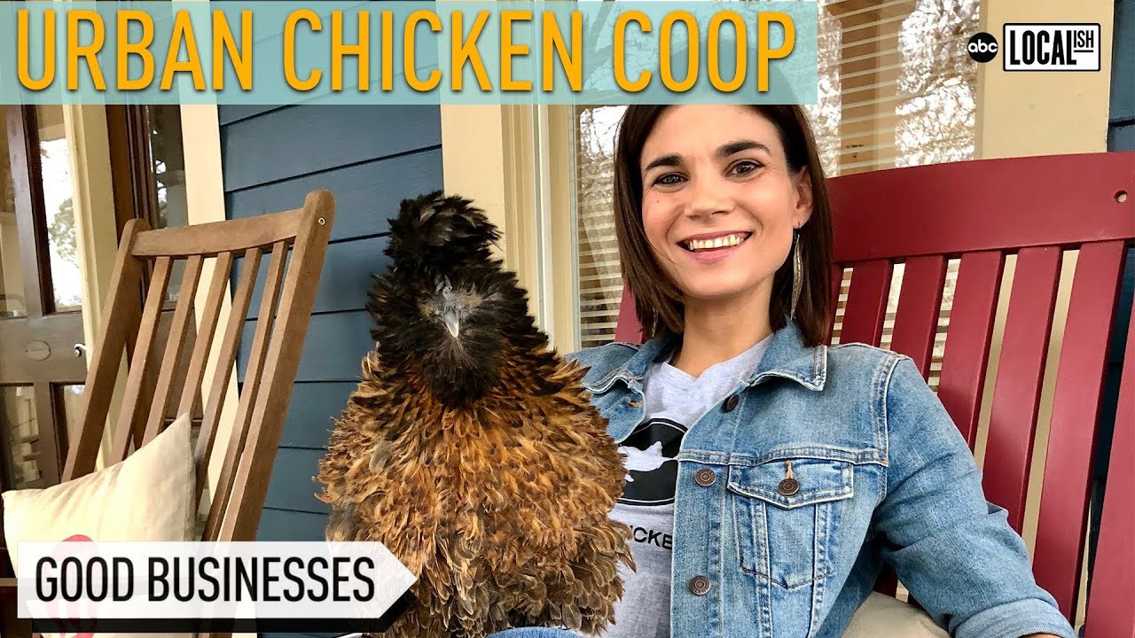 How To Build An Urban Chicken Coop In Your Backyard | Secretly Awesome
