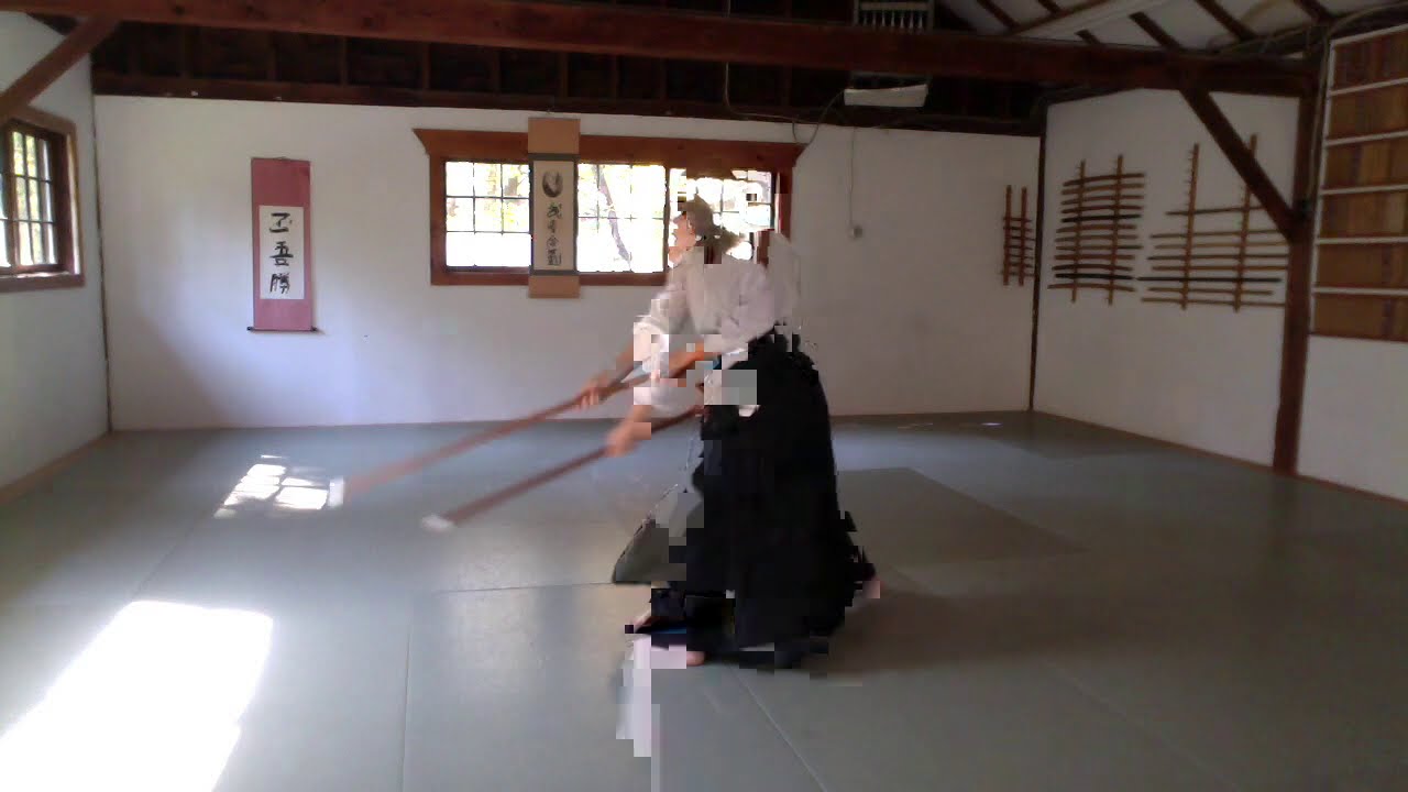 Aikido -  22 Jo Kata