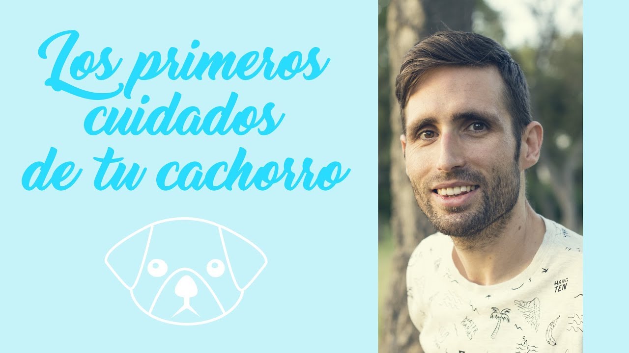 Los primeros cuidados de tu cachorro