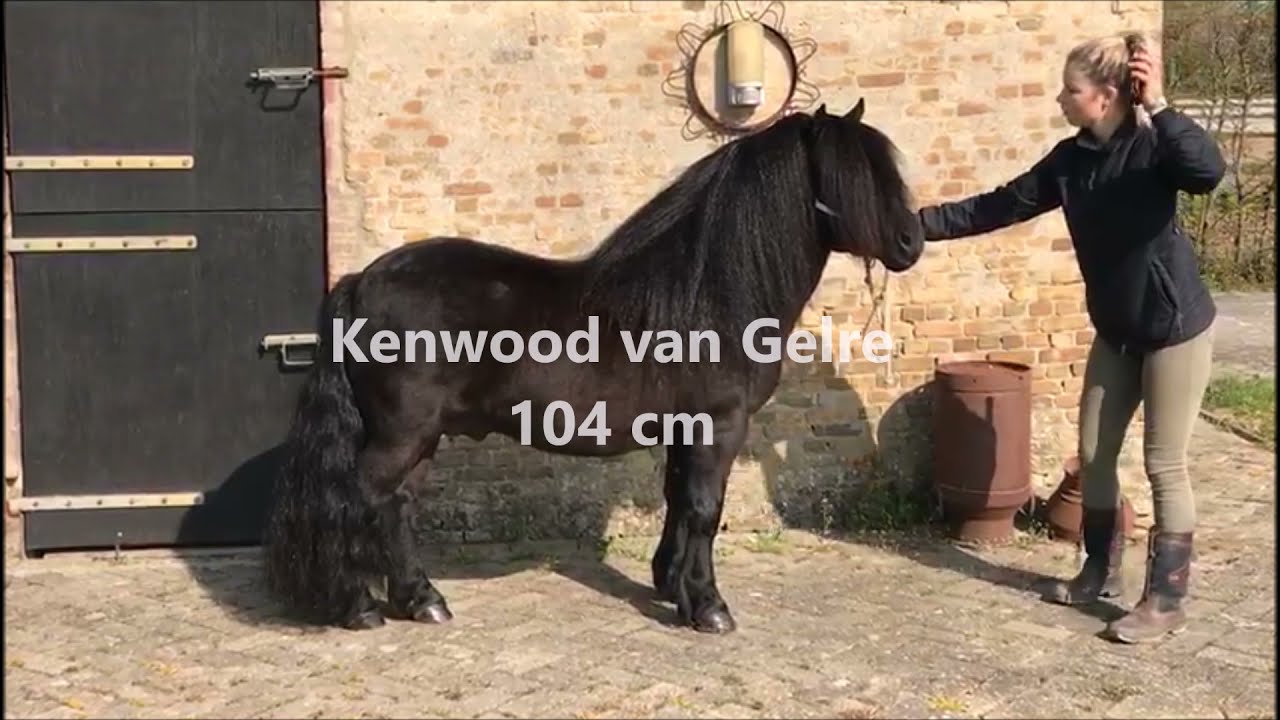 Kenwood van Gelre