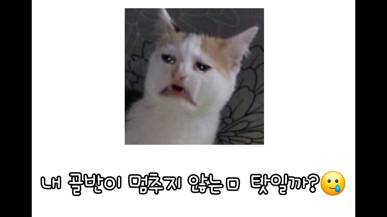2025 최신 틱톡 랜덤플레이댄스 #추천 #랜플 #틱톡