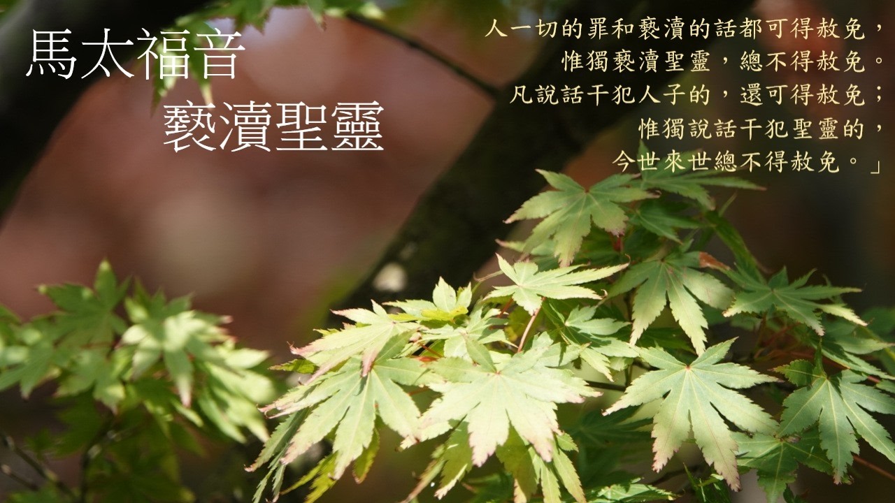 靈修:馬太福音-褻瀆聖靈 20260405