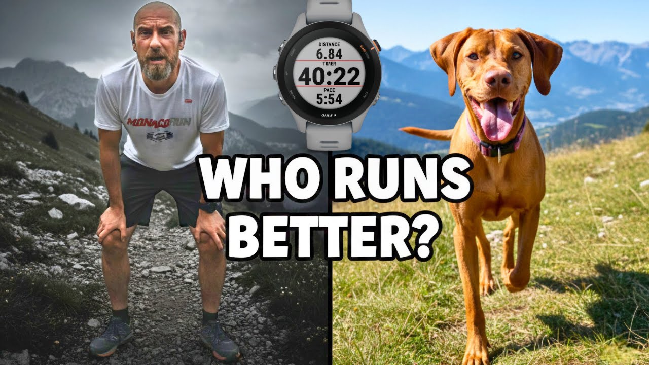 I Put a Garmin On My Dog – The Result Surprised Me