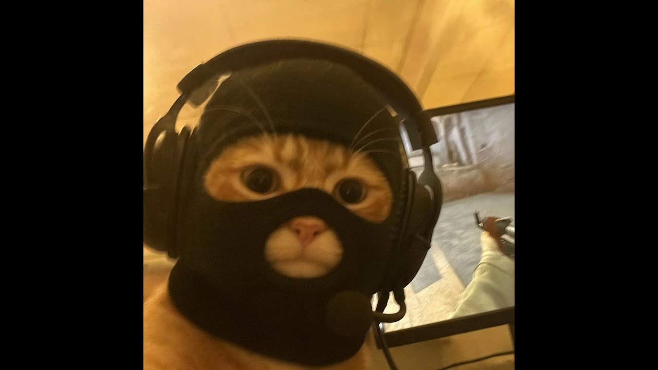 Моменты №32