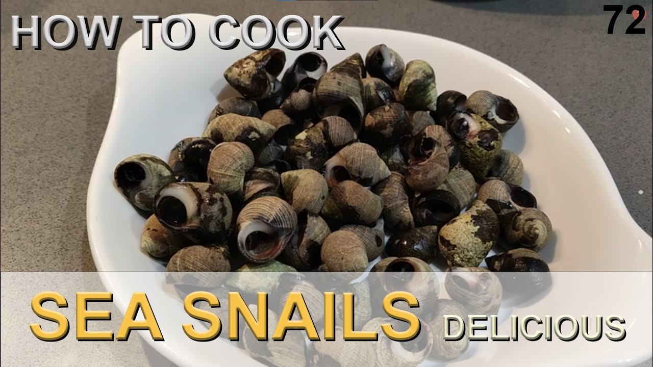 how to cook SEA SNAILS delicious!!! | 72. typical spanish food | caracolillos
