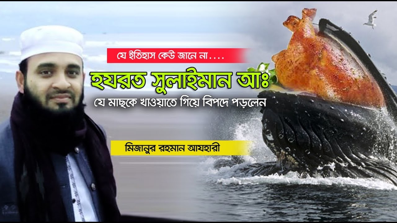 হযরত সুলাইমান (আঃ) সারা বিশ্বের  প্রাণী ও মানুষকে খাওয়াতে গিয়ে যে বিপদে পড়লেন। Mizanur rahman azhari