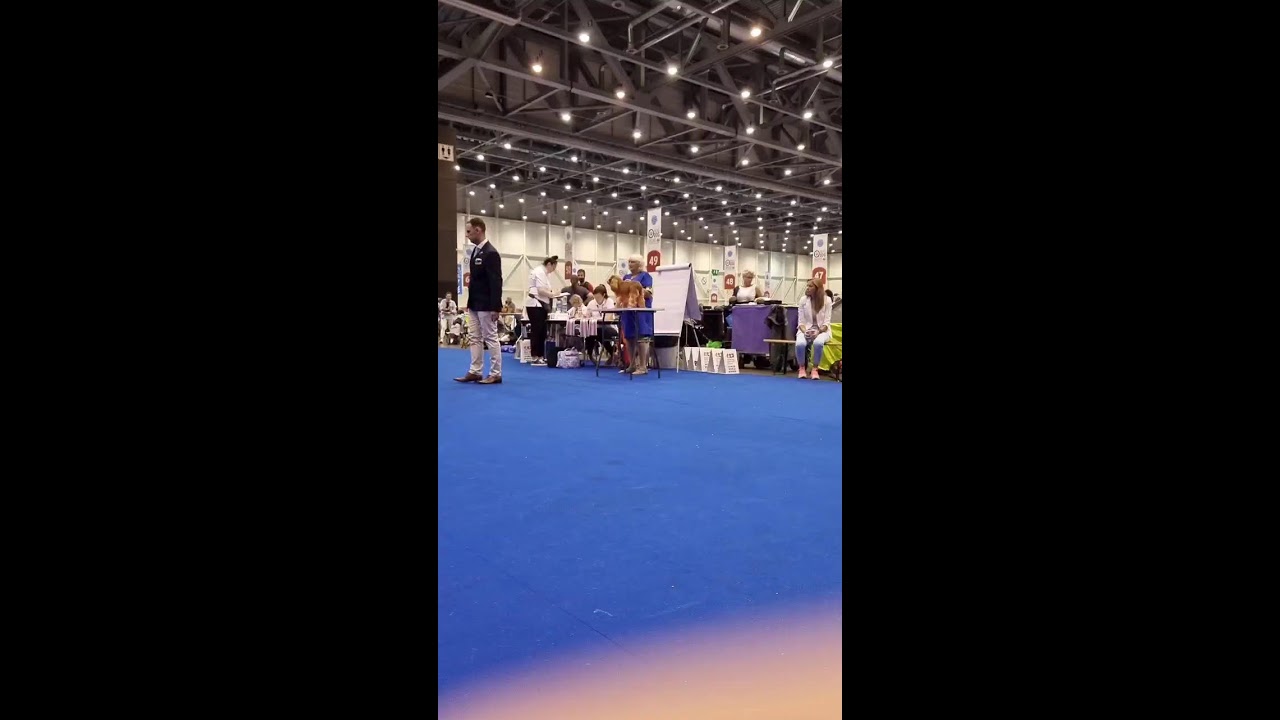 World Dog Show