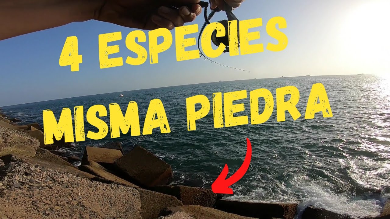 PESCA SPINNING en el ESPIGÓN DE HUELVA ||🐦Damos Con Una Pajarera🐦