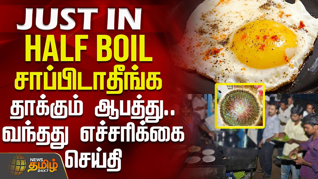 #JUSTIN || Egg | Bird Flu | Half Boil சாப்பிடாதீங்க - தாக்கும் ஆபத்து.. வந்தது எச்சரிக்கை செய்தி