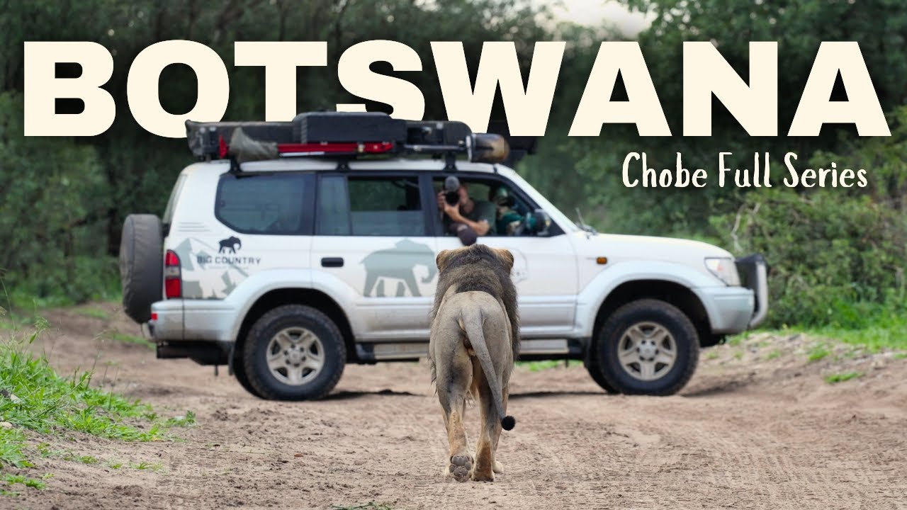 Chobe National Park, Botswana – Full Safari Series (Elephants, Lions & More)