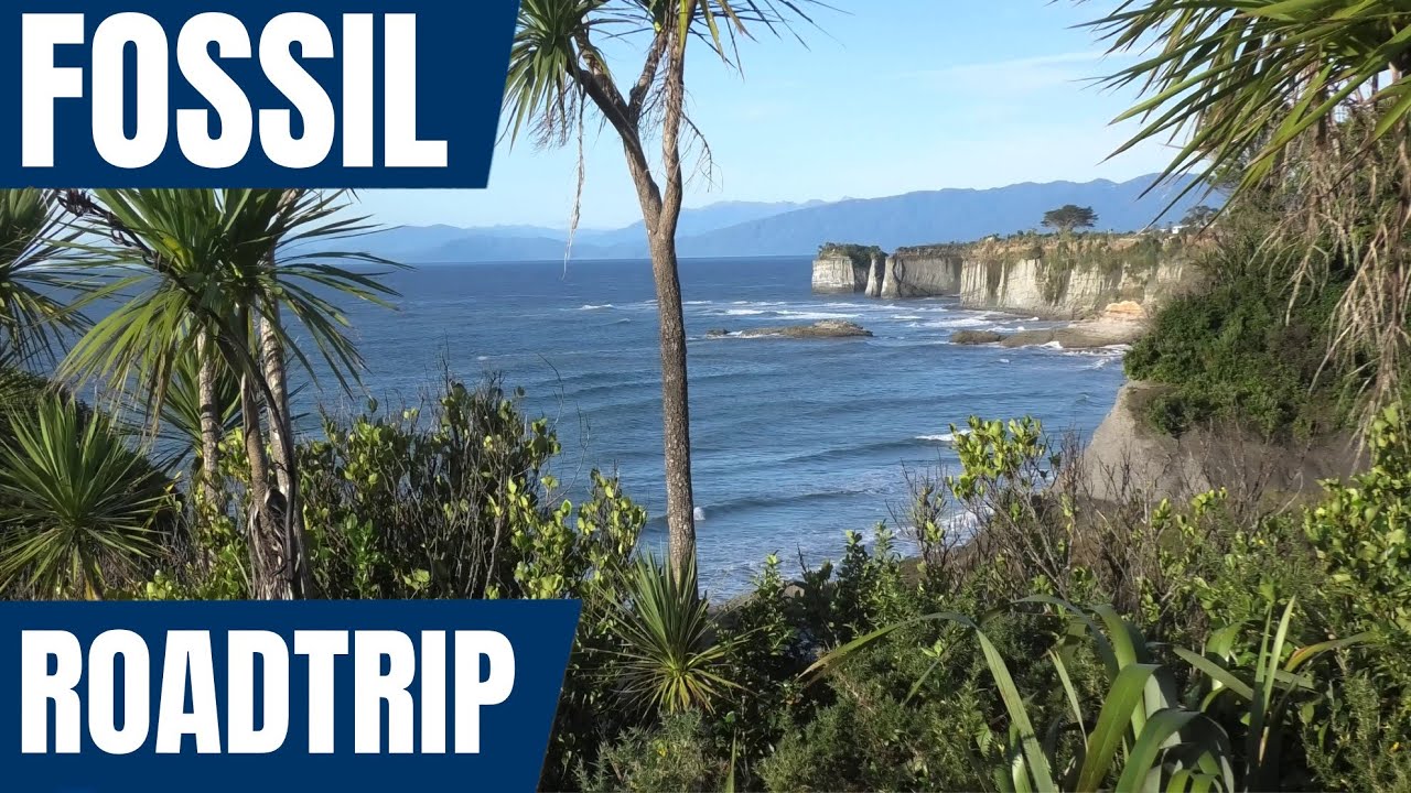 West Coast fossils - Fossil hunting New Zealand road trip 2023 - Day 1