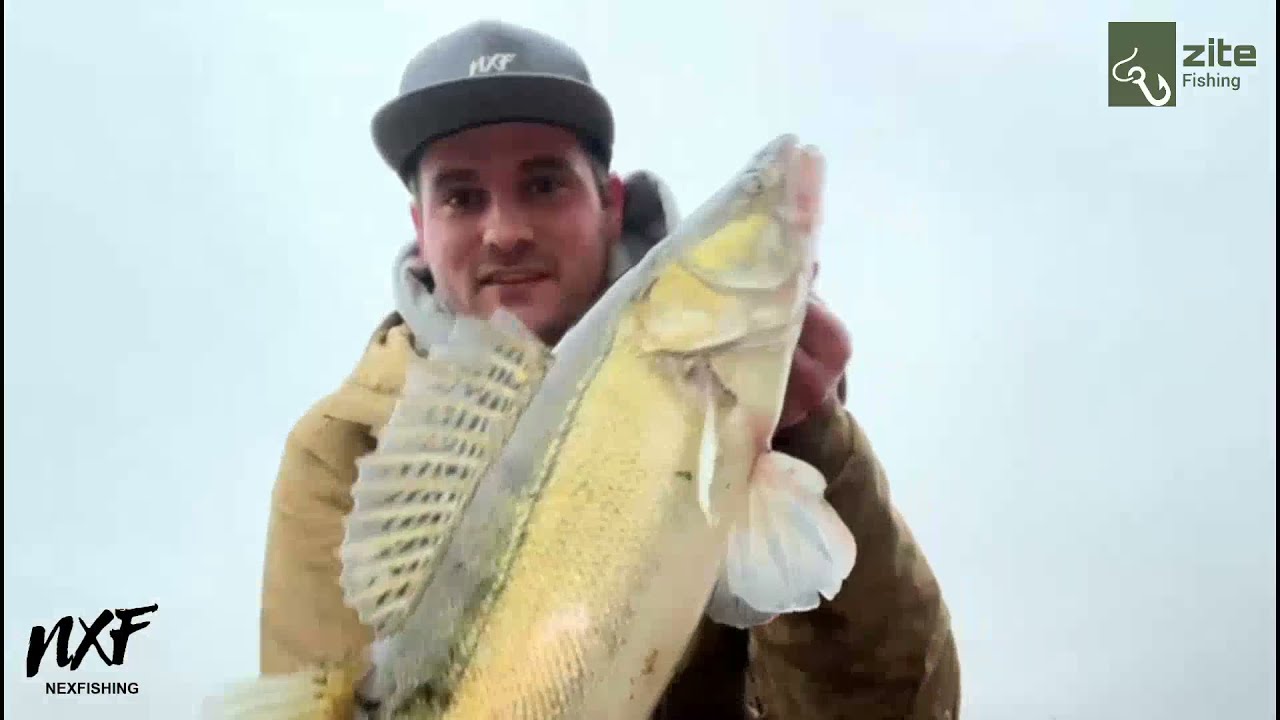Zander Angeln mit Jighaken & Gummifisch mit Zite© Teamangler Nexfishing -Kurze, erfolgreiche Session