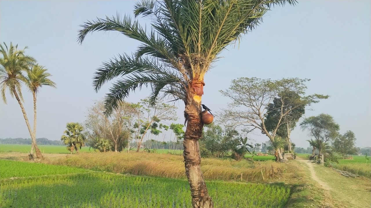 বাংলাদেশের সীমান্তবর্তী গ্রাম গুলোর সৌন্দর্য সত্যিই আমাদেরকে মুগ্ধ করে।