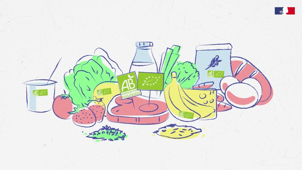 Dans les coulisses du bio