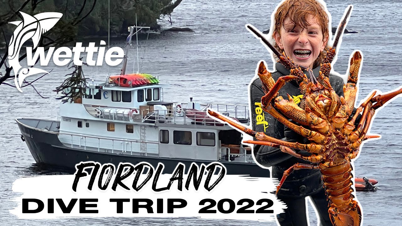Wettie TV — Дайвинг во фьордах с Pure Salt Charters 2022