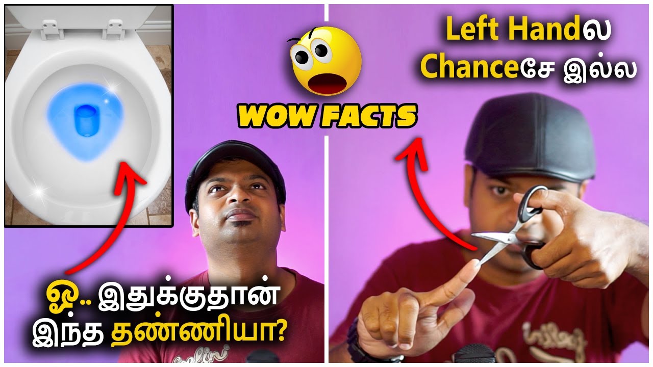 Wow Facts | இது தெரியாமதான் இவ்ளோ நாளா பயன்படுத்தினோமா? | Mr.GK