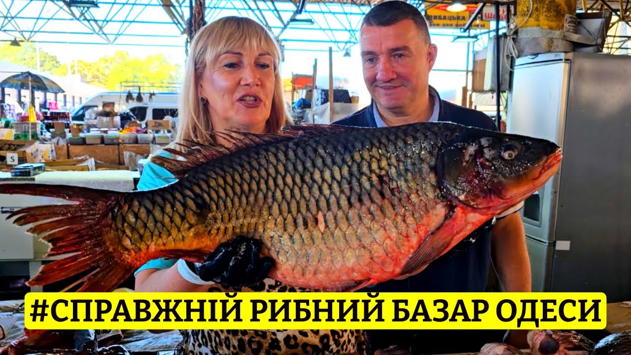 🛑 ШОК! 💰 ЦІНИ НА РИБУ В ОДЕСІ 🐟 ЛЕГЕНДАРНИЙ ПРИВОЗ 🦞 ФІРМОВИЙ ОГЛЯД ВІД САН САНИЧА 03.09.2025 🦀