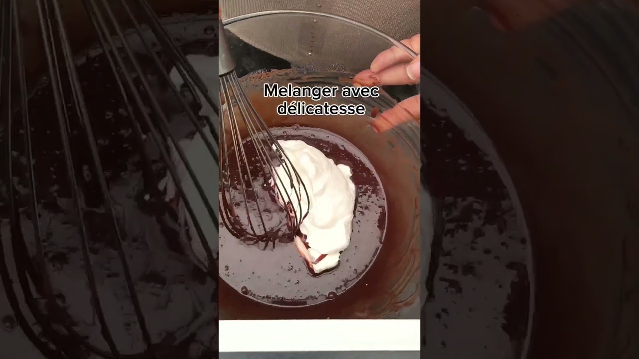 gâteau glacé au chocolat sans four 