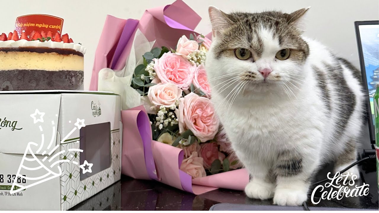 Meowisthebest - Kỷ Niệm Ngày Cưới
