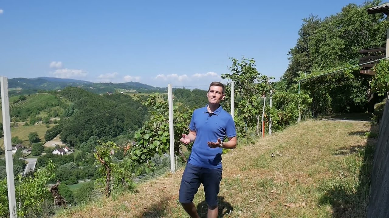 24nep I Hiša I Spodnje Dobrenje I Prodamo