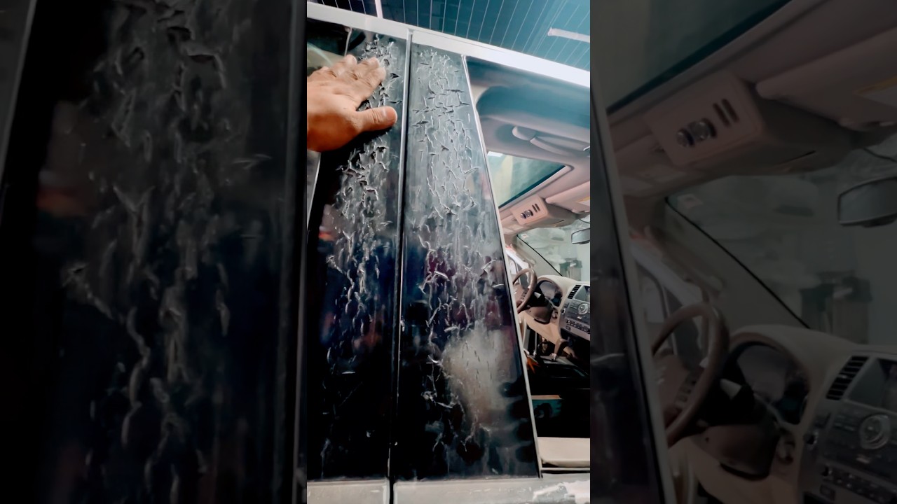 Car Wraps Damage Paint? 7Year old Wrap Removal😱 #carwrap#car #carwrapping