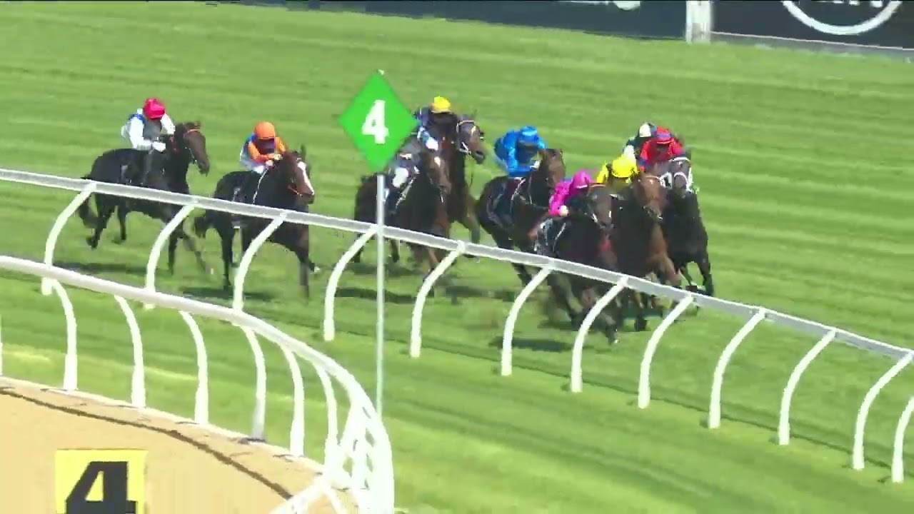 VERRY ELLEEGANT Defeats ADDEYBB - Ranvet stakes 2021 (3YO+ WFA G1) Group 1 Rosehill 27 March